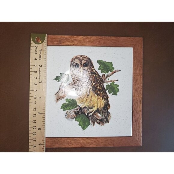 Barred Owl Tile Trivet Framed Decor Wall Hanging USA (2) EUC - Picture 5 of 7